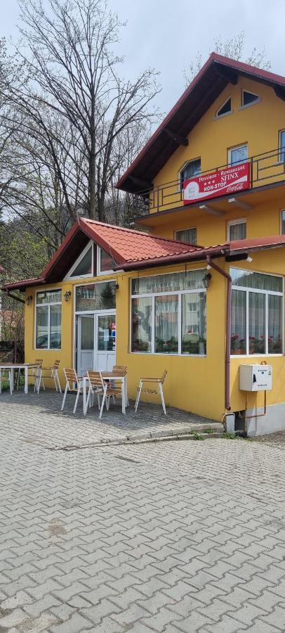 Pensiune Restaurant Sfinx Buşteni Exterior foto