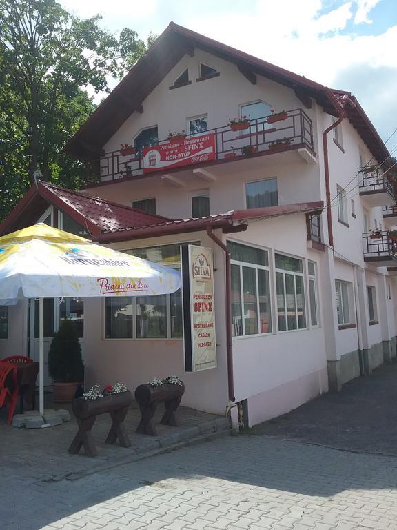 Pensiune Restaurant Sfinx Buşteni Exterior foto